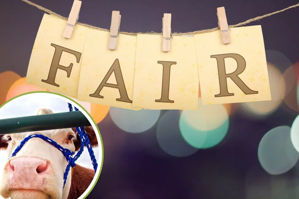 It’s Time! Adams County Fair is Underway Here’s the Full Schedule