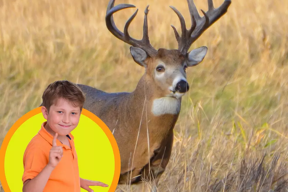 Youth Season Success: Missouri Kid Drops Massive Indiana Buck