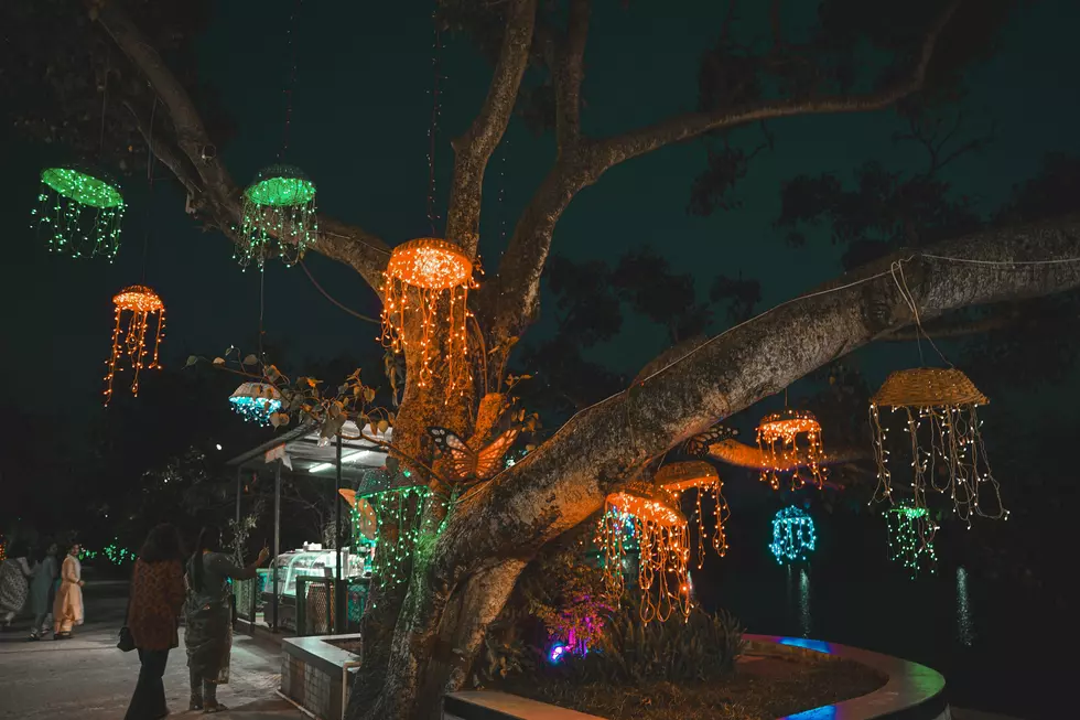 St. Louis Zoo’s Wild Lights Named One of America’s Best Again