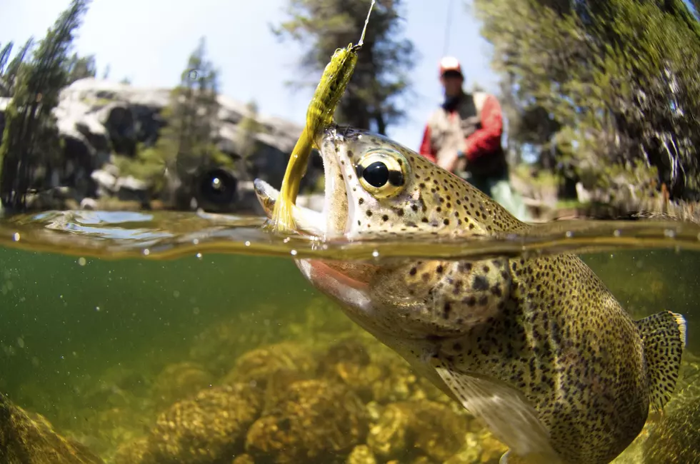 You can now trout fish in Hannibal!
